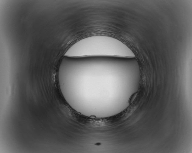 X0000087350282200704200811