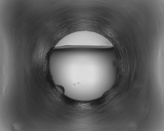 X0000087350283200704200811