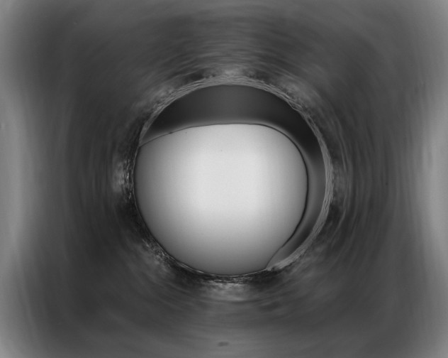 X0000087350284200704200811
