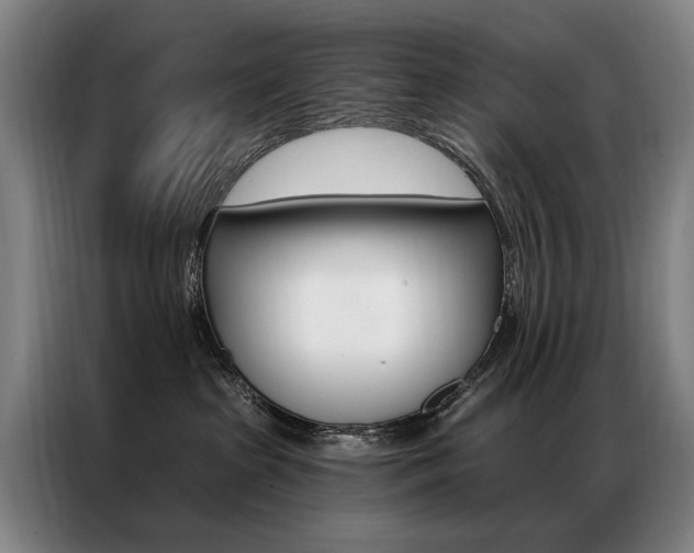 X0000087350285200704200811