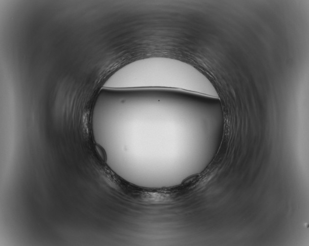 X0000087350286200704200811