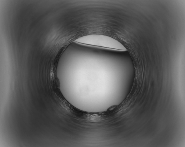 X0000087350287200704200811