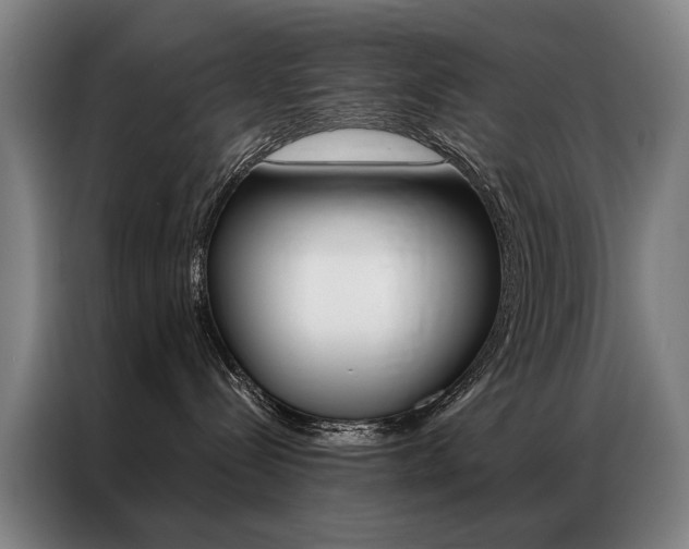 X0000087350288200704200811