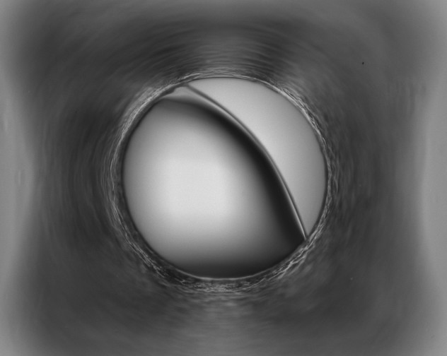 X0000087350289200704200810