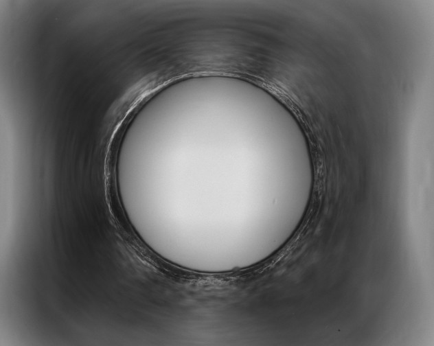 X0000087350290200704200810