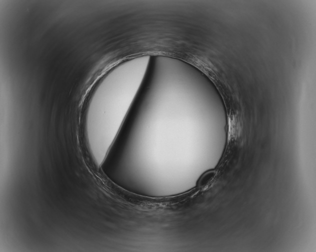 X0000087350291200704200810