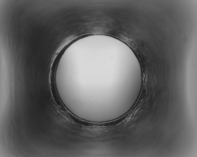 X0000087350292200704200810