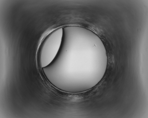 X0000087350294200704200810