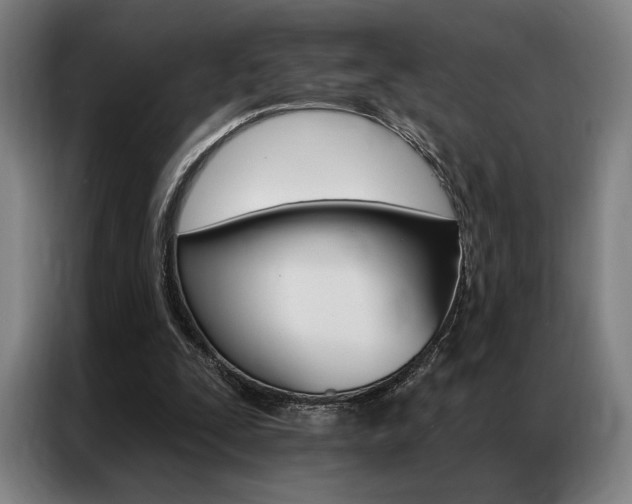 X0000087350295200704200810