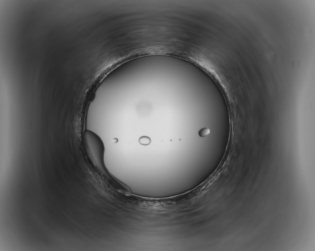 X0000087350297200704200810