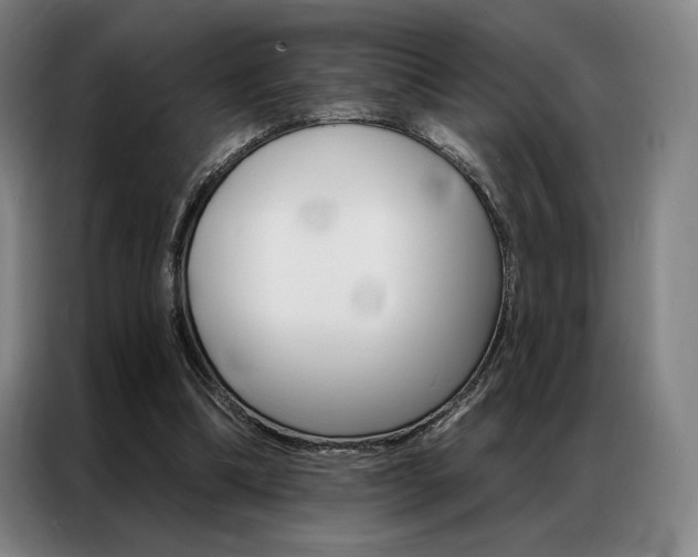 X0000087350298200704200810