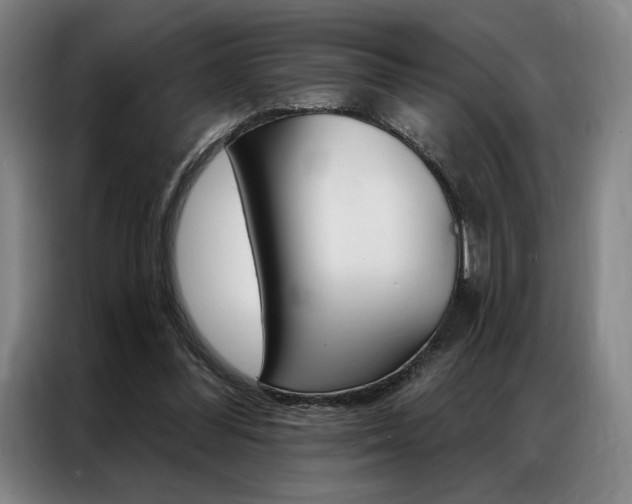 X0000087350300200704200810
