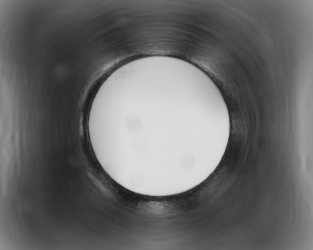 X0000087350302200704200810