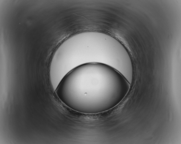 X0000087350305200704200810