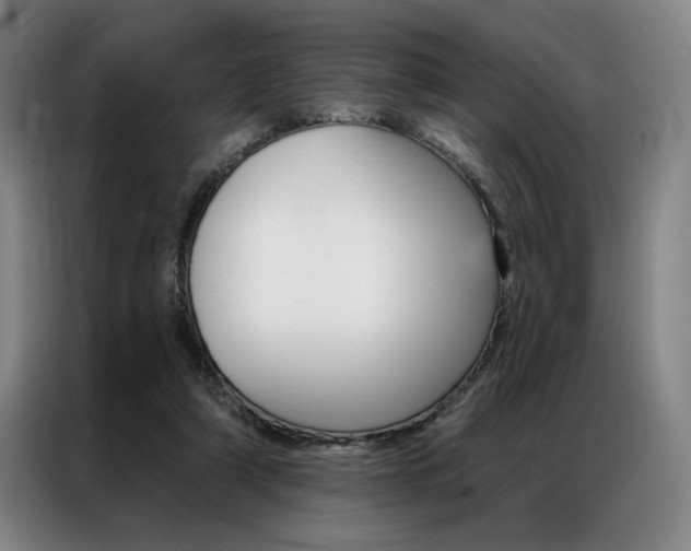 X0000087350306200704200810