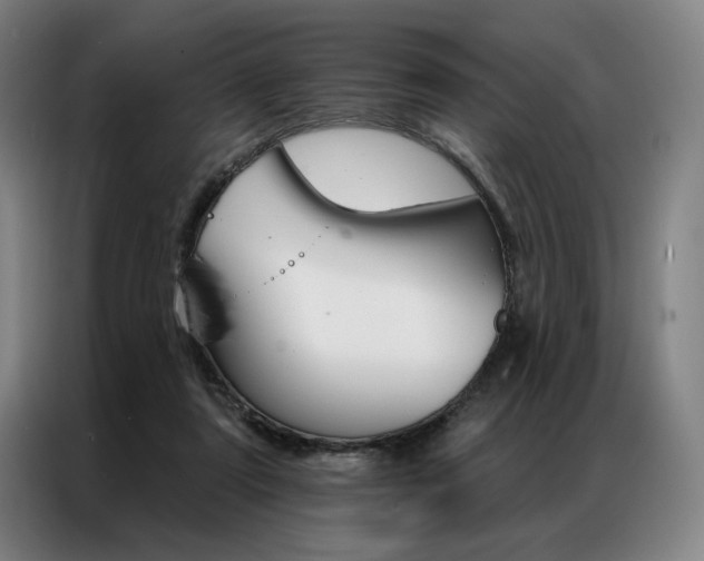 X0000087350307200704200810