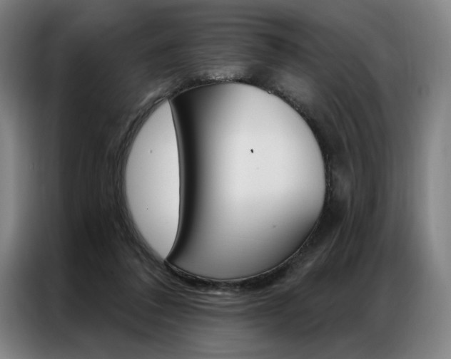 X0000087350308200704200810