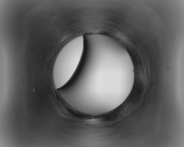 X0000087350312200704200810