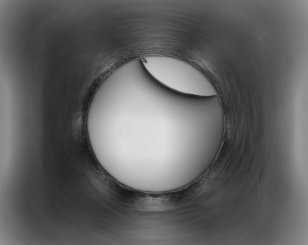 X0000087350314200704200810