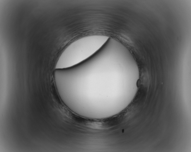 X0000087350318200704200810
