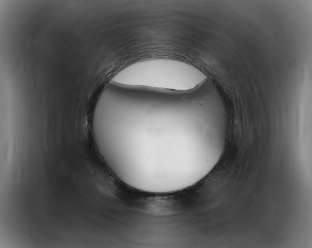 X0000087350320200704200810