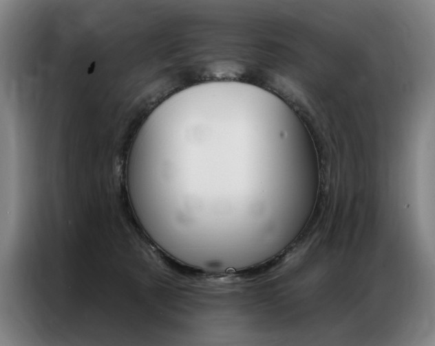 X0000087350321200704200810