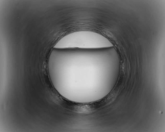 X0000087350322200704200810