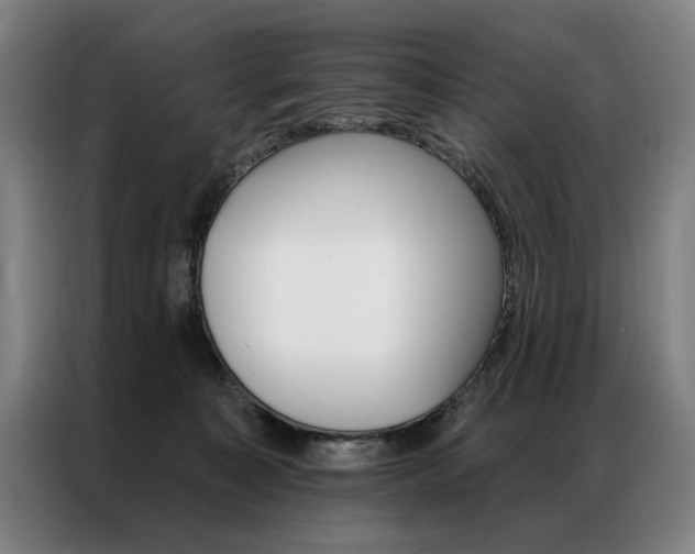 X0000087350323200704200810