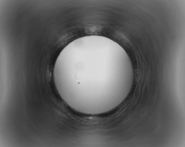 X0000087350324200704200810