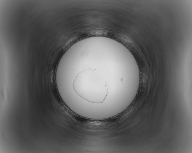 X0000087350326200704200810