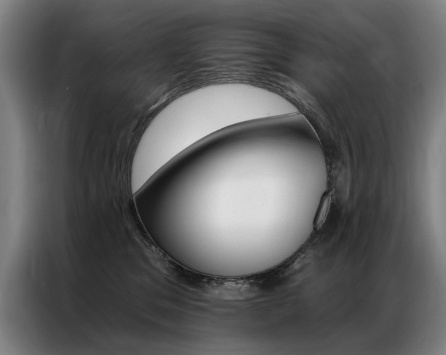 X0000087350329200704200810