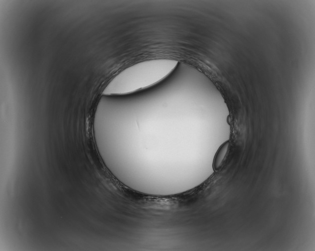 X0000087350330200704200810