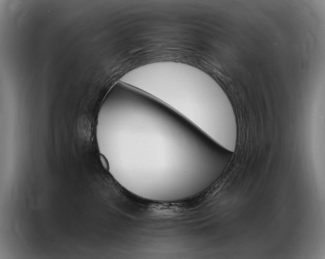 X0000087350331200704200810