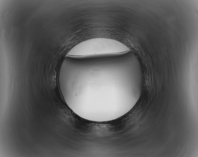 X0000087350332200704200810
