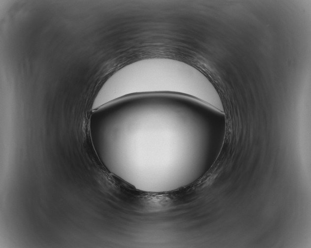 X0000087350333200704200810