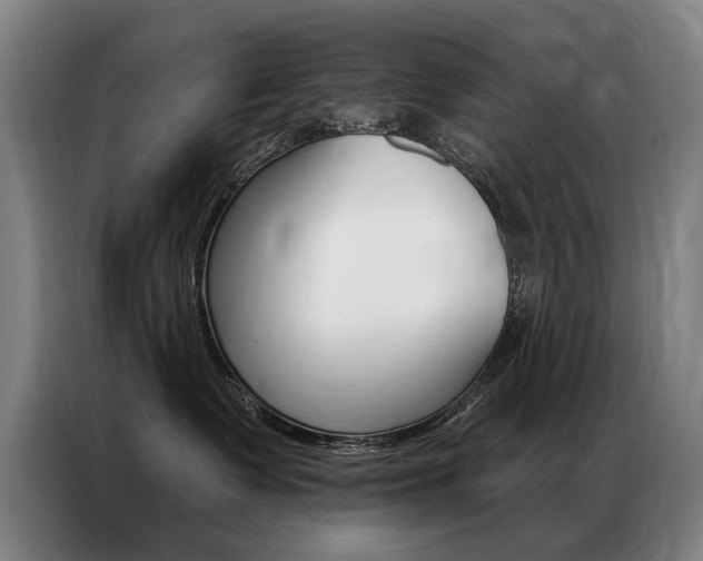X0000087350335200704200809