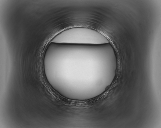 X0000087350337200704200809