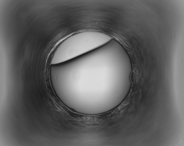 X0000087350338200704200809