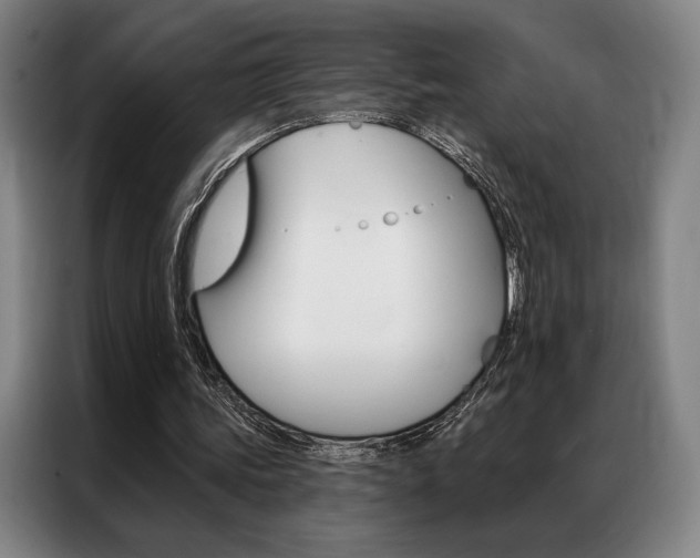 X0000087350339200704200809