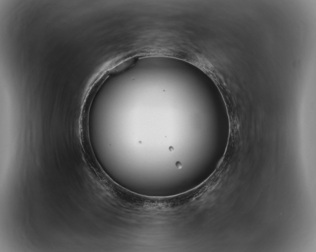 X0000087350340200704200809