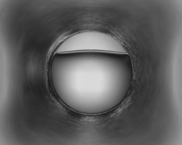 X0000087350341200704200809