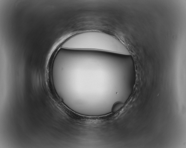 X0000087350342200704200809