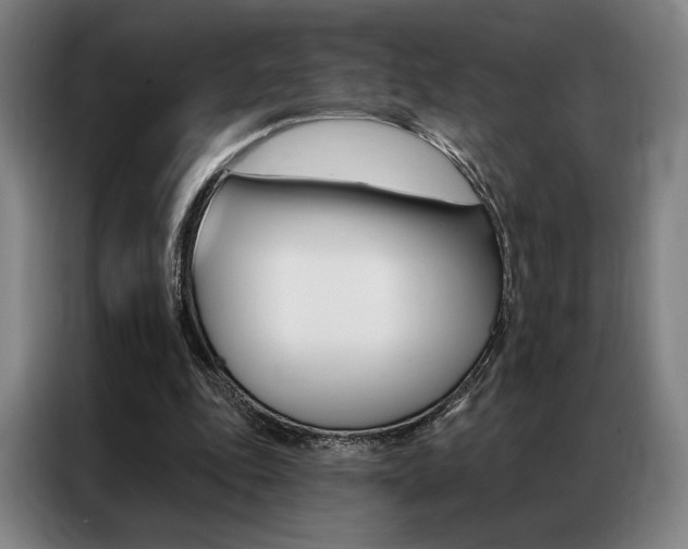 X0000087350343200704200809