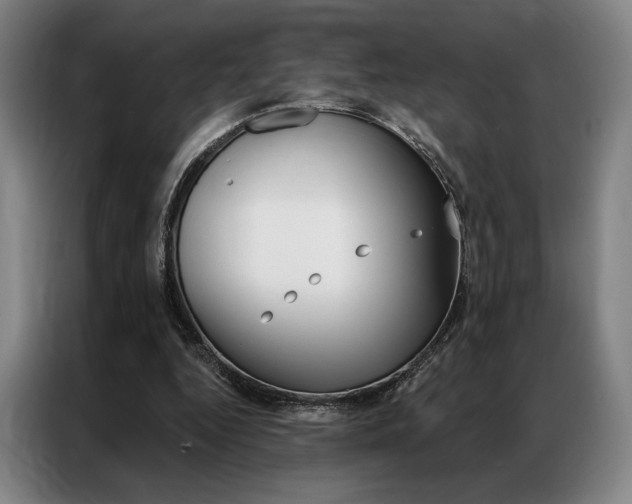 X0000087350344200704200809