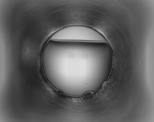 X0000087350345200704200809