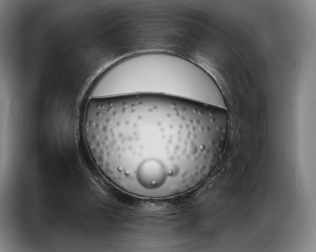 X0000087350346200704200809