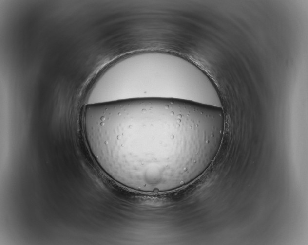 X0000087350347200704200809