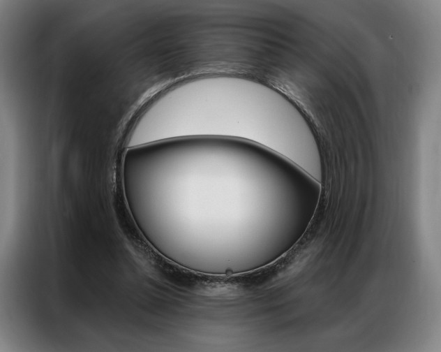 X0000087350348200704200809