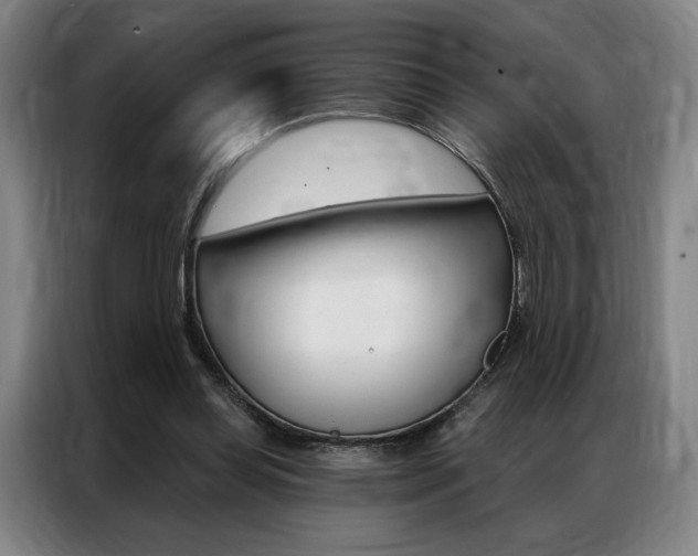 X0000087350349200704200809