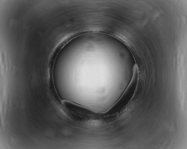 X0000087350350200704200809